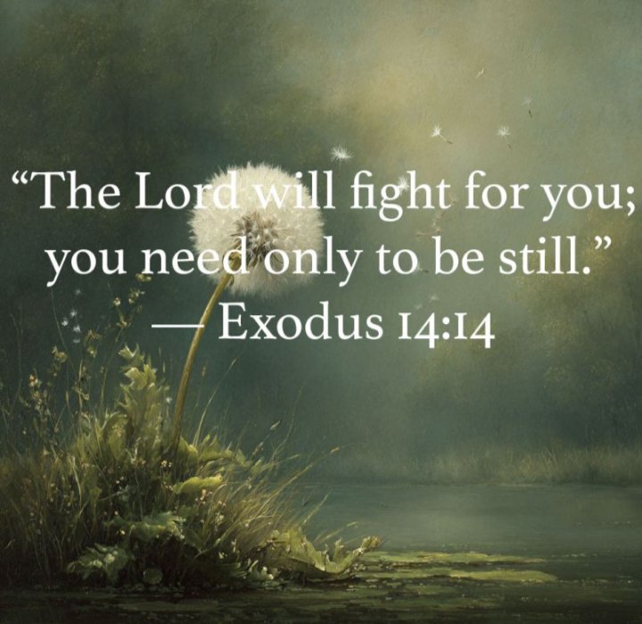 GulfamAsif14's tweet photo. When the battle feels too big and your strength runs low, remember that God has never asked you to carry it alone. Trust Him, stand firm, and let His power work on your behalf. He goes before you, fights for you, and makes a way where there seems to be none. ✝️✨😇💫🙏 https://t.co/rBw33nCYXQ