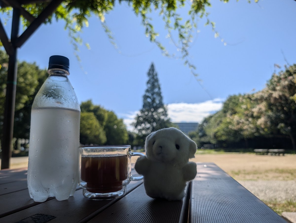 sirteabear's tweet photo. 夏☀
#お外ティータイム https://t.co/x6So3iKfmL