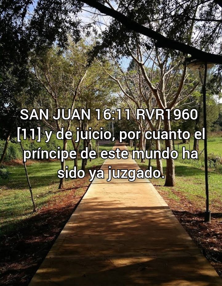 NEHEMIASLEAL's tweet photo. https://t.co/VkK7VxLtjI