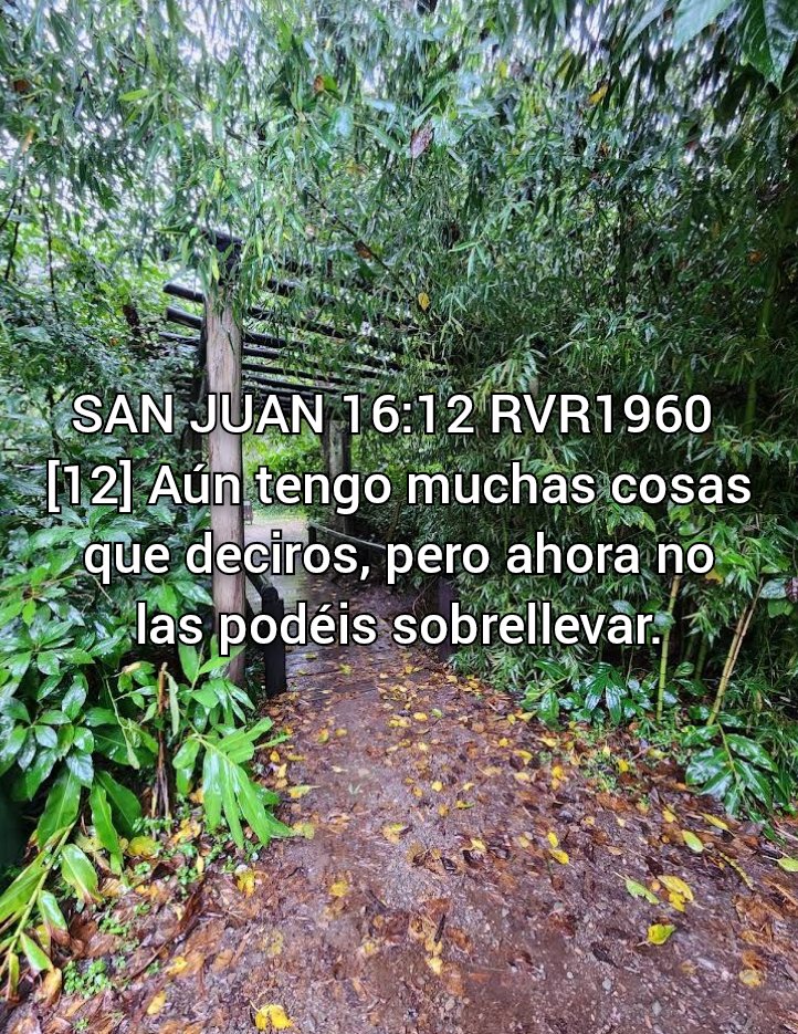 NEHEMIASLEAL's tweet photo. https://t.co/VkK7VxLtjI