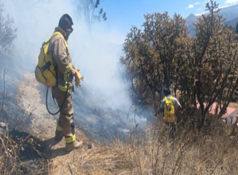 COENPeru's tweet photo. 📢 Arequipa: el 27/7 ocurrió un #IncendioForestal en el sector Huatatira, distrito de #Chivay, provincia Caylloma. Personal de la municipalidad provincial, Serenazgo y población organizada extinguieron el fuego. Gobierno local ejecuta la #EDAN y, al momento, se reportan daños a 15 hectáreas de cobertura natural, mas no a la vida y salud de las personas.