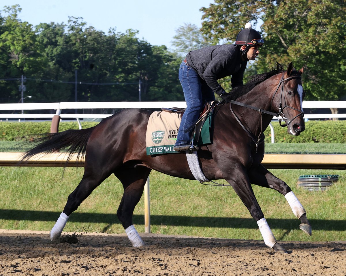 TheNYRA's tweet photo. After finishing 4th in this year’s @BelmontStakes, CHIEF WALLABEE returns Wednesday in the Curlin Stakes pres. by Casamigos. 

Looking forward to seeing him back on the track! https://t.co/DlKflhAWiM