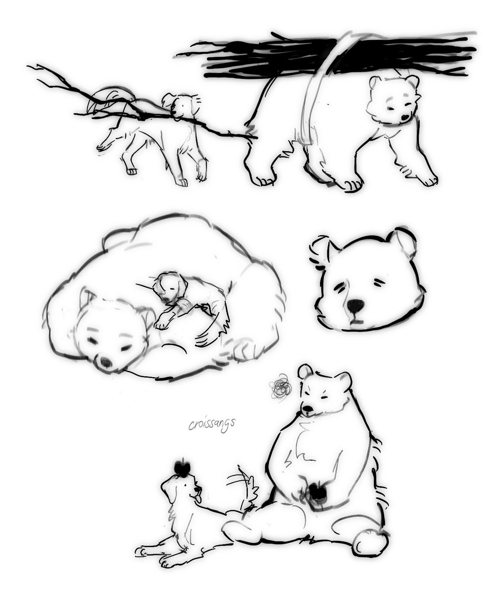 croissangs's tweet photo. 🐻🐶 jh, who prefers his bear form x yh, who prefers his human form https://t.co/5yF2mzM6Fb