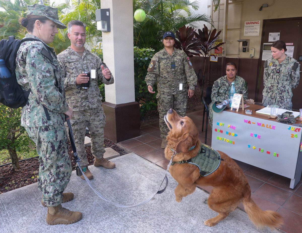 JointBasePHH's tweet photo. #WellnessWednesday Therapy dogs boost morale during #RIMPAC2026 ❣🐾Berkley, a therapy dog from the (CREDO) Morale Dog program with #CREDOHawaii and #therapydogs Lani and Makana, from the @RedCross  met with multinational servicemembers on JBPHH. #PawsitiveImpact https://t.co/YL5cdRyQfh