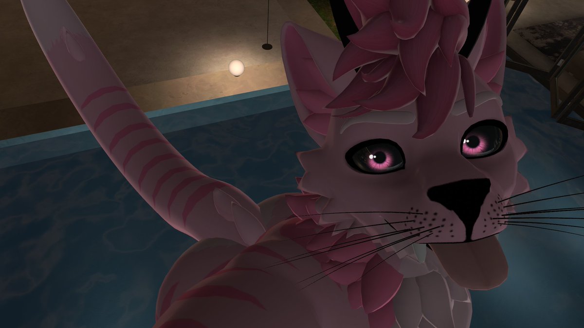 Ace00171's tweet photo. Deleted my last post, I felt bad about venting. Have more demon cat ass :3 https://t.co/NreZB1Jk61