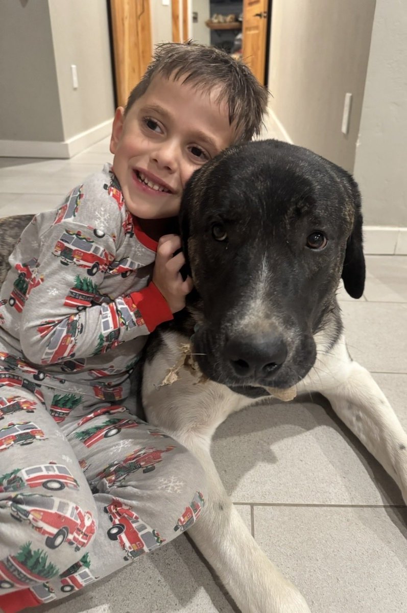 JenniferEvn22's tweet photo. Snuggles and my oldest interacting. My oldest telling him in dog language he wants to cuddle. Snuggles gently keeps the toy squirrel in his mouth. He never destroyed a single toy or anything. Always held things ever so gently. My baby misses his snuggle buddy

#SaveSnuggles https://t.co/decVl0nurt