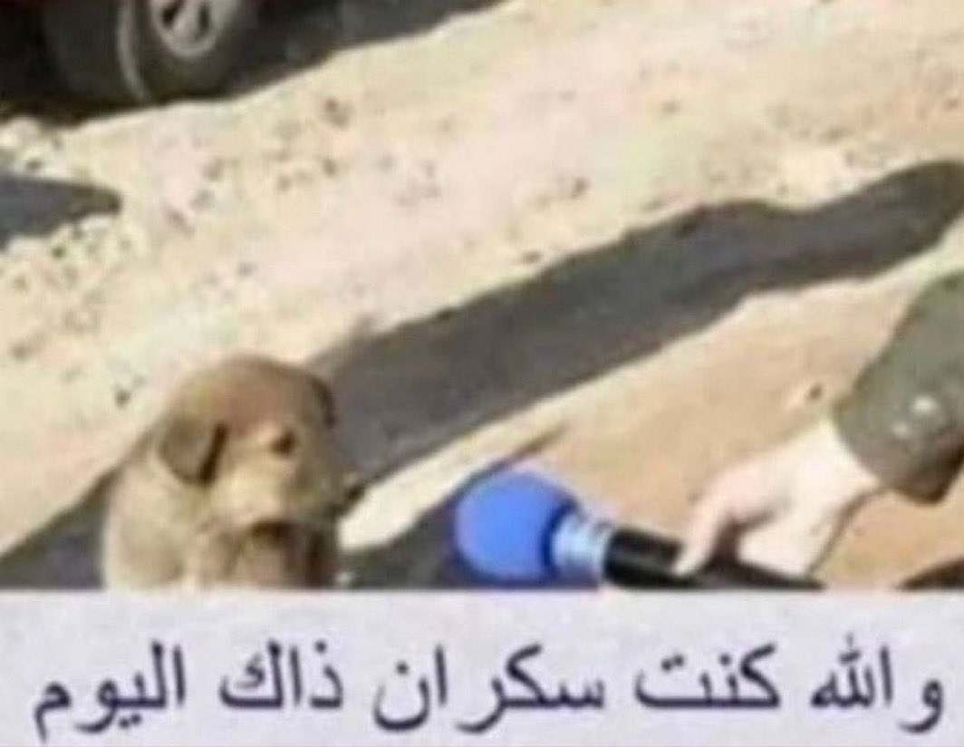 shahad💎 tweet media