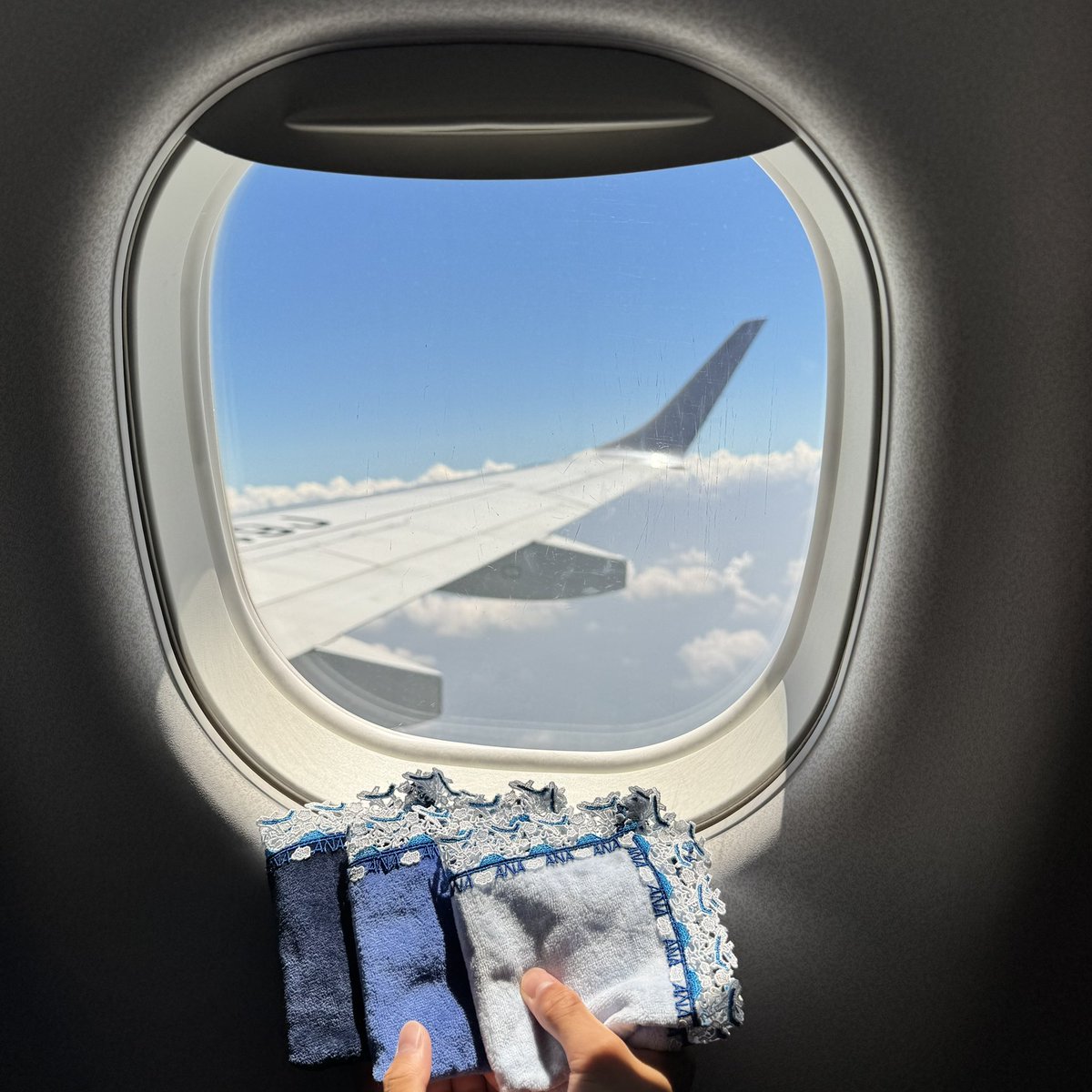 happilyever5555's tweet photo. 近沢レース「入道雲」「ANAコラボ」「世界旅行」

念願の1番近距離からの「入道雲」ハン活😍

JALに乗ったけどANAのハンカチで✈️

入道雲と一緒に撮りたかった「世界旅行🌍」もセットで📸

帰りの夕焼けがすごく綺麗でした✨✨

毎回のことながら息子の協力で撮影☺️
いつもありがとう😊

#近沢レース https://t.co/QFC20tKQOf