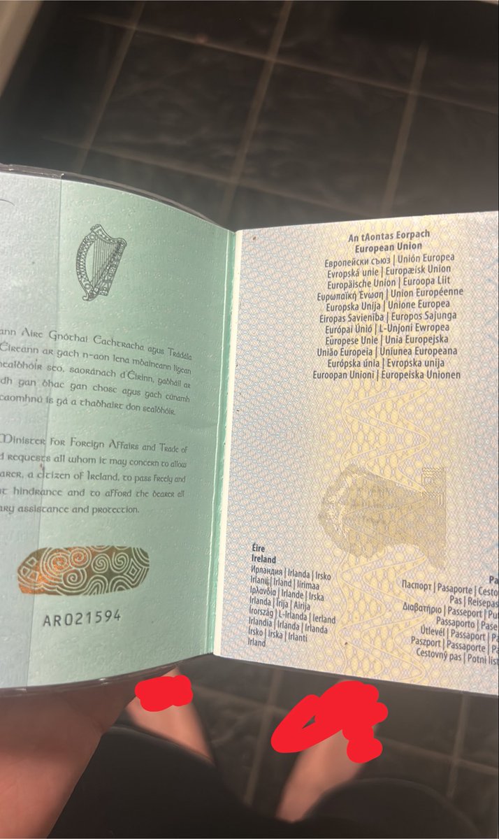 irishVRIL🇮🇪 ꑭ 🇺🇦🇪🇺 tweet media