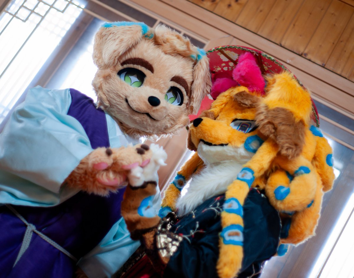 SK2i_PO's tweet photo. 서방님이 또 보고싶어요~ 🥲
📷 : @horung0616 

#FursuitEveryday #Fursuit https://t.co/mf8B3AdNeK