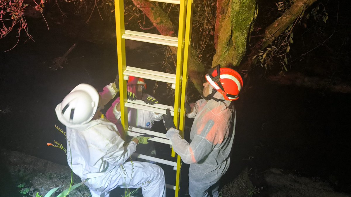 BarakaldoPcivil's tweet photo. Por aviso de vecina, @BarakaldoPcivil ha retirado un nido de avispa asiática en barrio El Regato

El nido se encontraba en fase secundaria. 

#AvispaAsiatica
#MedioAmbiente https://t.co/NaeQtxHvJo