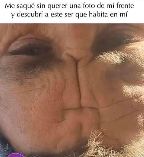 Memes Aleatorios tweet media