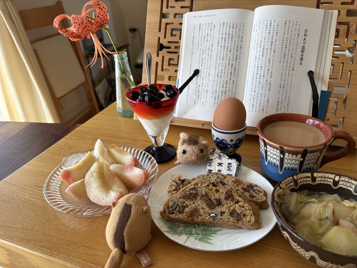 a_iijimaa1's tweet photo. 今朝の朝ご飯。野菜スープ煮、茹で卵、ソーダブレッド、果物、パルテノ、コーヒー。
「くりむちーずがたりないのではあるまいか」
「ぼくはさきにももをいただこう」　#やまね https://t.co/is8LaN0XBq