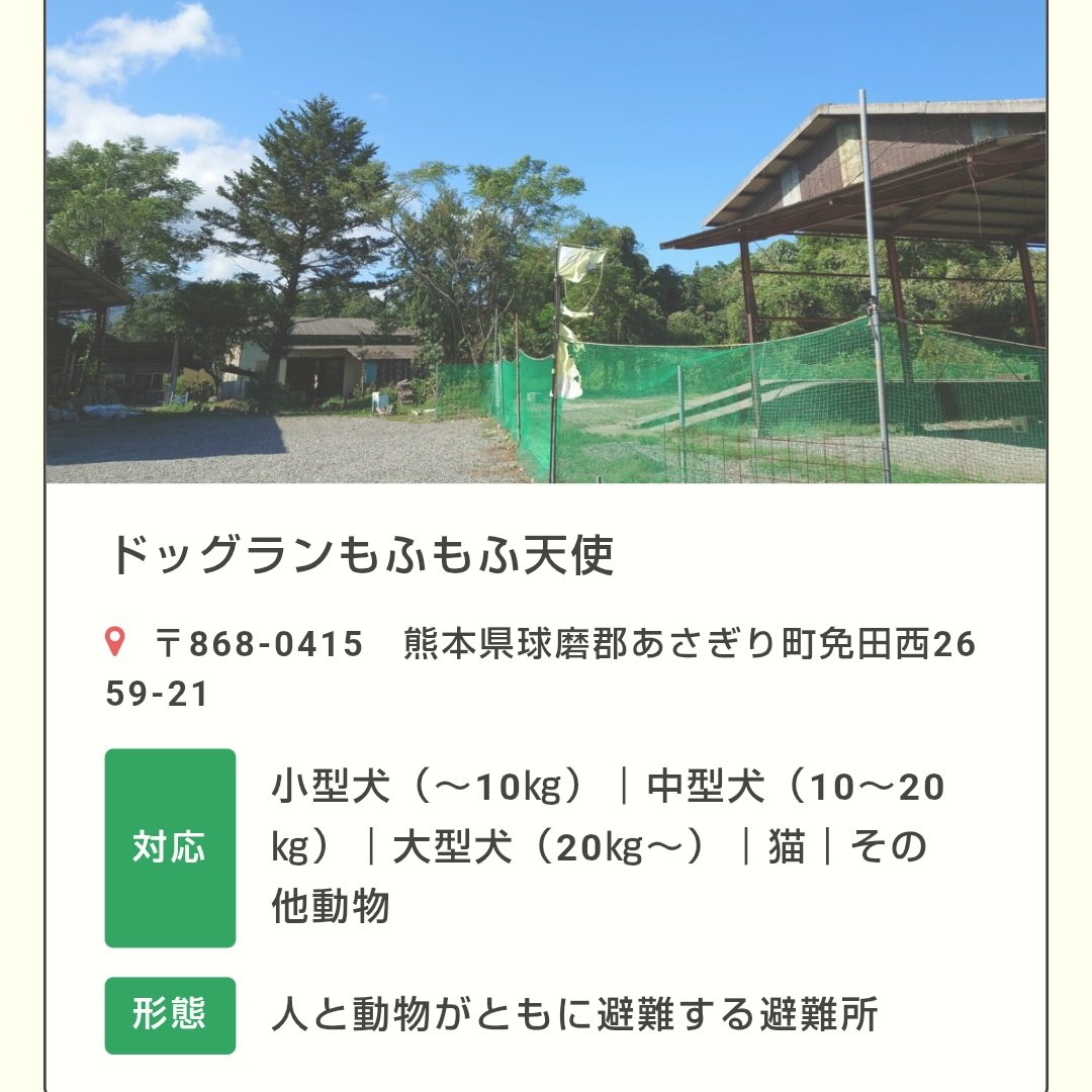 KAYAKUDA_DonDon's tweet photo. 家が被災されて猫と一緒に居られる方へ
熊本県内の猫と一緒に避難できる避難所
民間２箇所、市指定２箇所

TLが猫とはぐれちゃった人でいっぱい😿　無事再会を祈る https://t.co/n6uPuGg5Ov