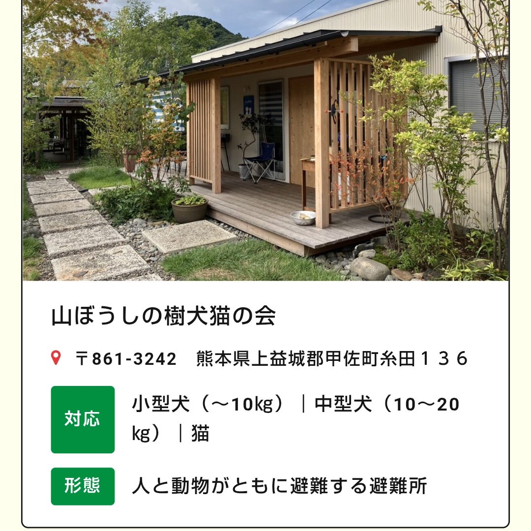 KAYAKUDA_DonDon's tweet photo. 家が被災されて猫と一緒に居られる方へ
熊本県内の猫と一緒に避難できる避難所
民間２箇所、市指定２箇所

TLが猫とはぐれちゃった人でいっぱい😿　無事再会を祈る https://t.co/n6uPuGg5Ov