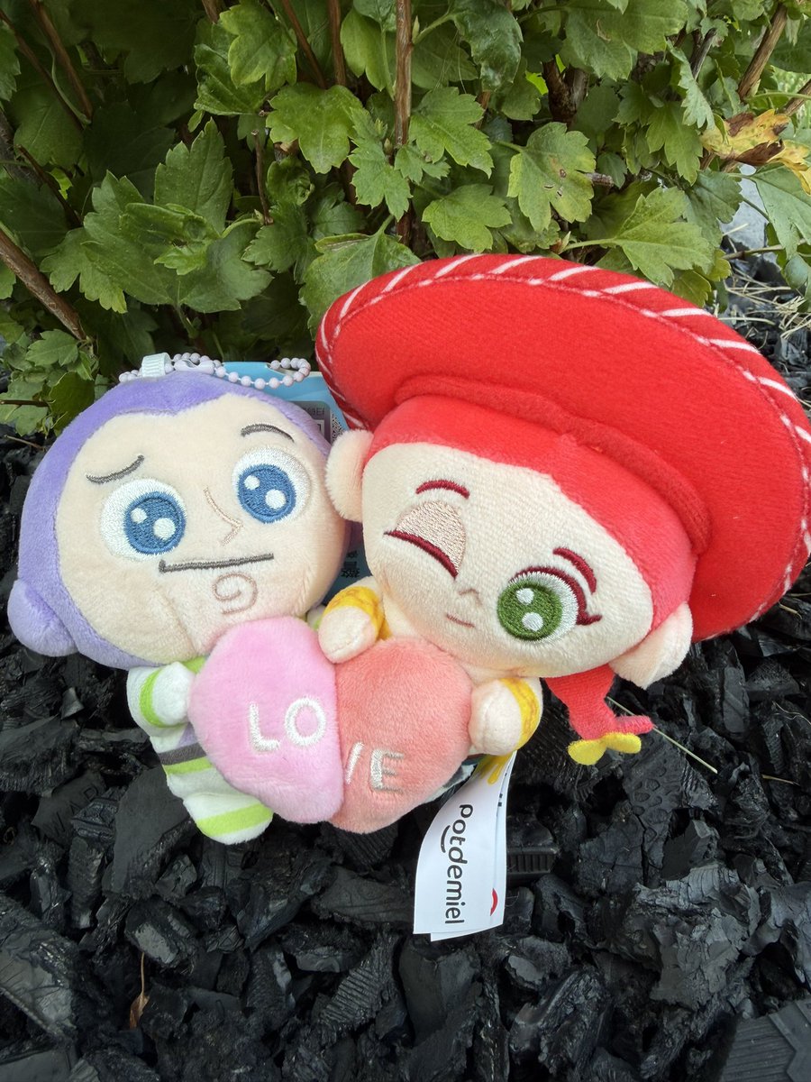 cowgirlamanda95's tweet photo. #love

#buzzandjessie #buzzlightyear #jessietoystory #toystory5 https://t.co/JsIB9Mmxbr