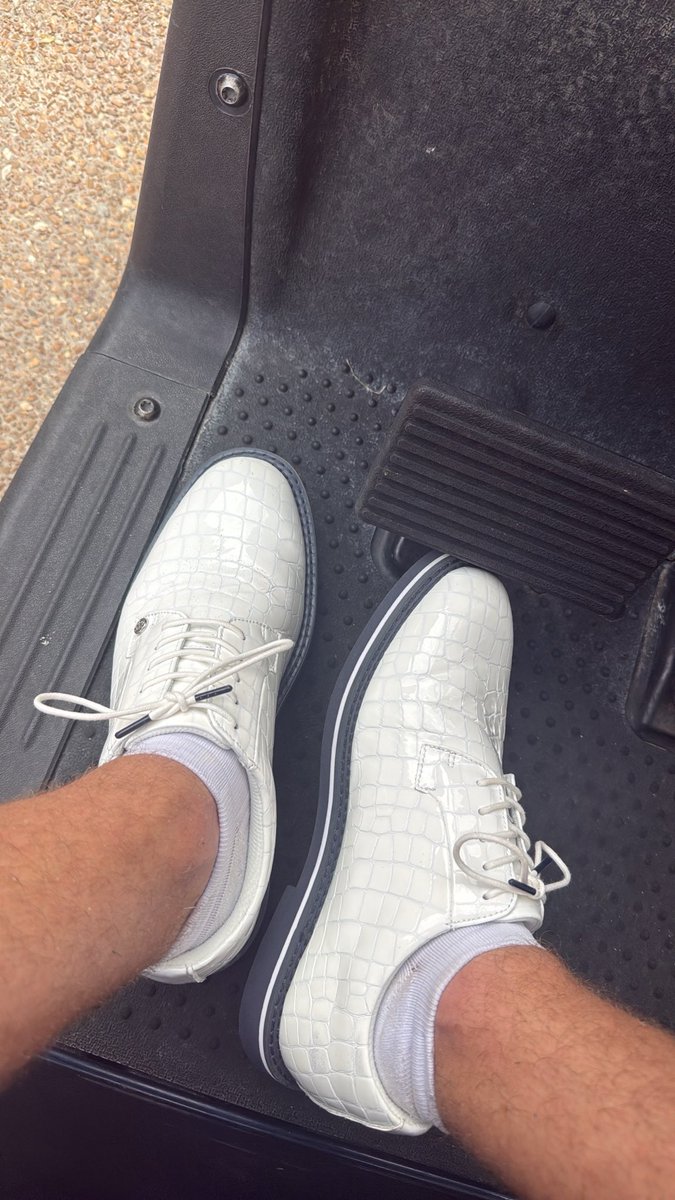 GlueMalley's tweet photo. Had been eyeing these puppies all summer. Thoughts? #shrink or #expand https://t.co/DVW8xudk3y
