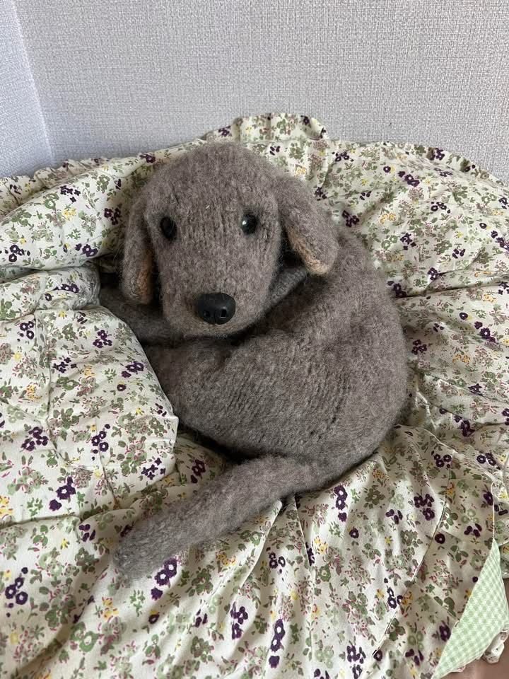 se7enyrs's tweet photo. these freaking knitted puppies... so cute https://t.co/HkxN0ieLhr