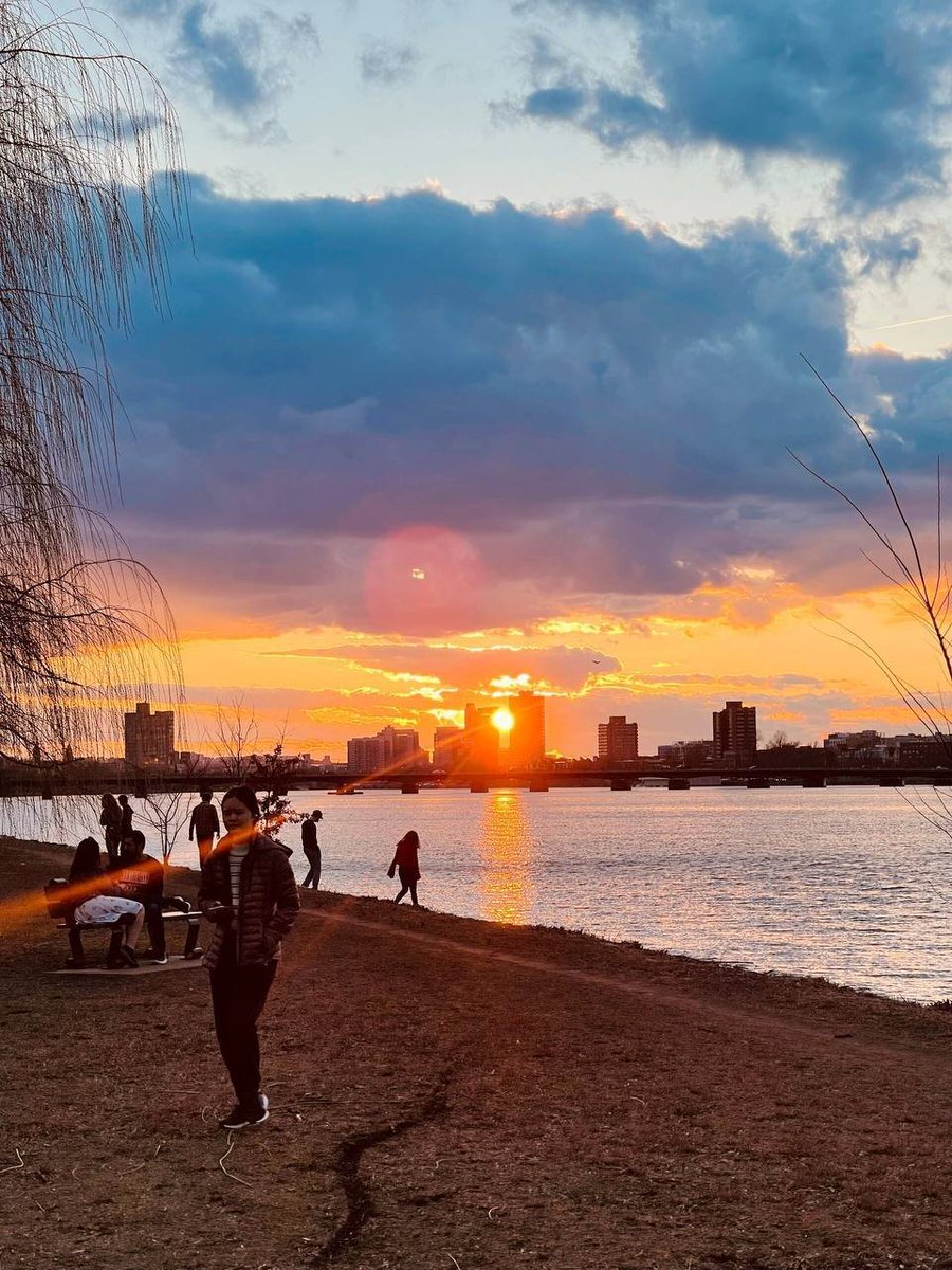 singh_aditya205's tweet photo. #USA 🇺🇸 #Boston #Evening  

Sunset by the Charles River is a peaceful and beautiful experience in Boston, where the golden evening light reflects across the water and creates a warm, relaxing atmosphere. The river views, city skyline, and gentle breeze make it a perfect place https://t.co/qvqjPlvwkf