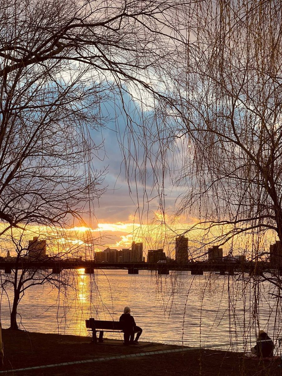 singh_aditya205's tweet photo. #USA 🇺🇸 #Boston #Evening  

Sunset by the Charles River is a peaceful and beautiful experience in Boston, where the golden evening light reflects across the water and creates a warm, relaxing atmosphere. The river views, city skyline, and gentle breeze make it a perfect place https://t.co/qvqjPlvwkf
