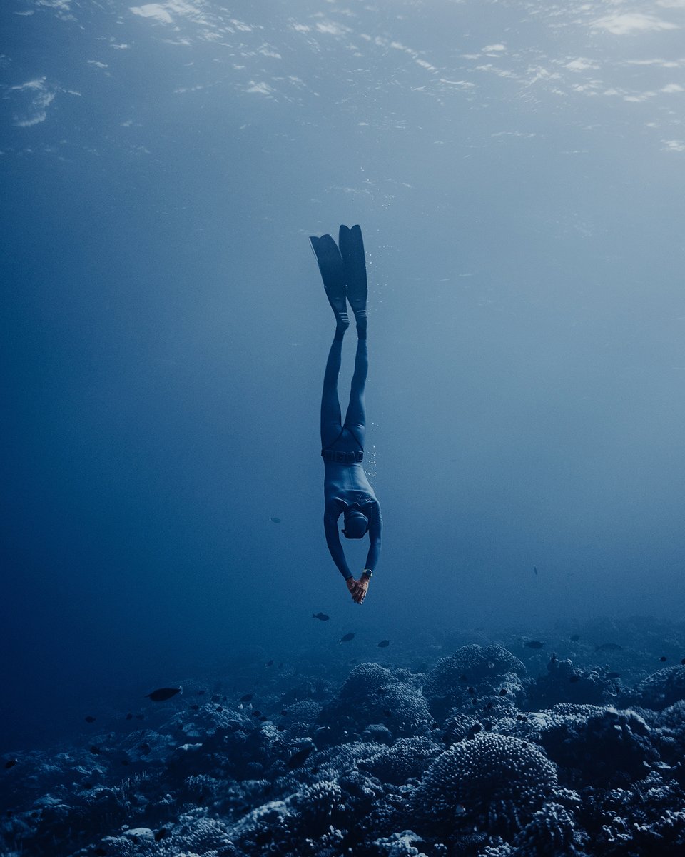 hamiltonwatch's tweet photo. Your best ally for every underwater adventure.
100 bar. Helium valve. Titanium strength.
The Khaki Navy BeLOWZERO is built for the deep.

#hamiltonwatch
https://t.co/U4lpHnHODI https://t.co/FHhJxZNuJ9