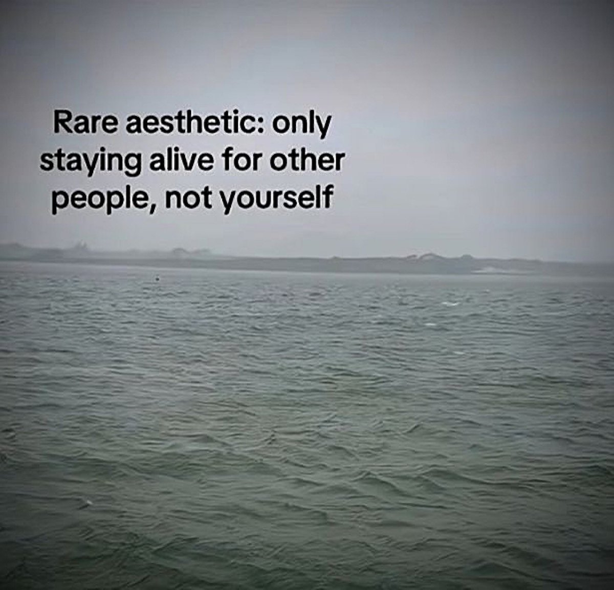 user0000O0 tweet picture
