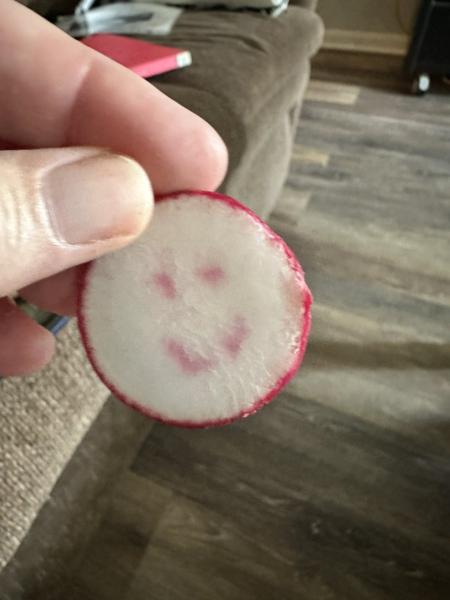 TraceyDanine's tweet photo. Here is a picture of my radish slice. 

Am I the only one who sees a smile?

#ADHD #OHIO #pareidolia https://t.co/bjUkfH1qJb