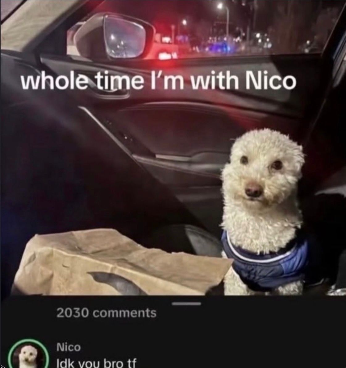 nocontextmemes's tweet photo. https://t.co/azlzgXFvfb