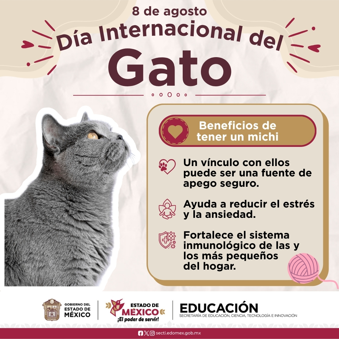 SEB_Edomex's tweet photo. 🐈Este #DíaInternacionalDelGato celebramos los beneficios de tener un michi. 🐾 ¡Adopta y transforma una vida con amor y cuidados!

🤝#ElPoderDeLaEducación impulsa entornos empáticos y responsables para todos los seres sintientes. https://t.co/lBAZtuDn75
