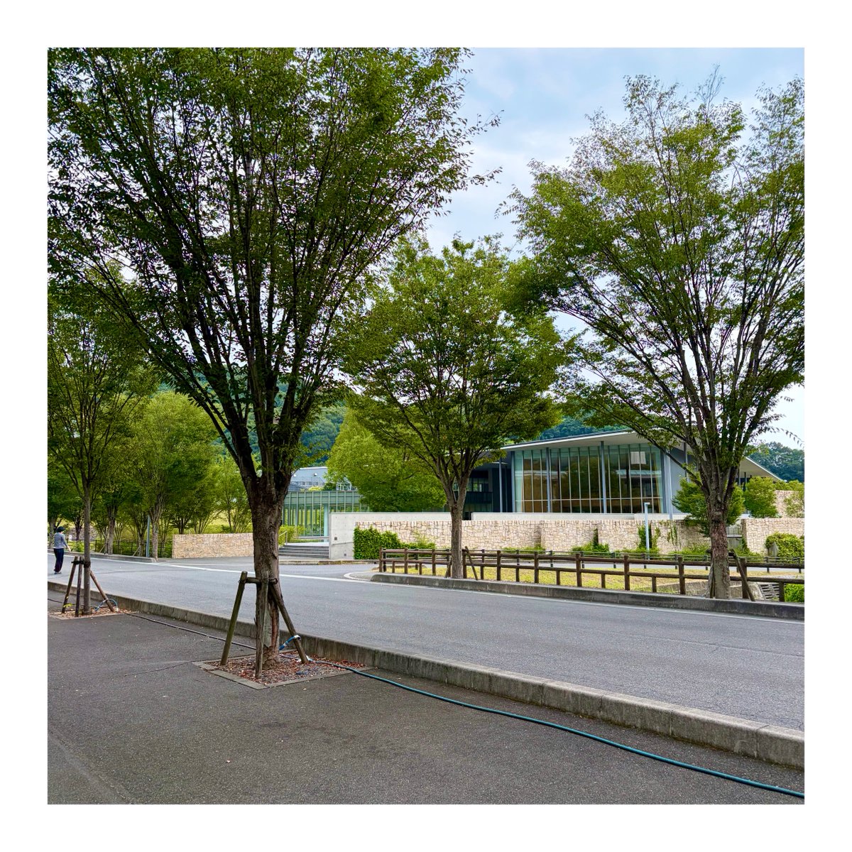 IPUtuushin's tweet photo. おはようございます���️  

本日、岡山は曇り時々晴れの予報です😀

今日も新しい1日がスタートしましたね🍀
一日よろしくお願いします🙇

#IPU通信 #通信制大学 #イマソラ https://t.co/y1kfsnw7MZ