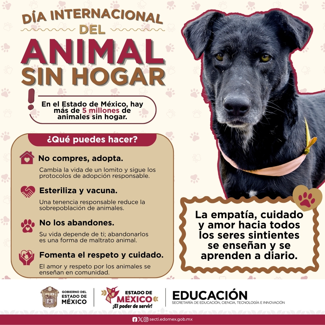 SEB_Edomex's tweet photo. 🤝Educar en empatía, cuidado y amor es tarea de todas y todos. 

✨ Te compartimos algunos consejos para reducir la sobrepoblación de animales sin hogar. El respeto se enseña desde casa y la escuela. 👧🏻👦🏻

#AprendamosEnComunidad a cuidar nuestro entorno. https://t.co/xWwSjRWYGM