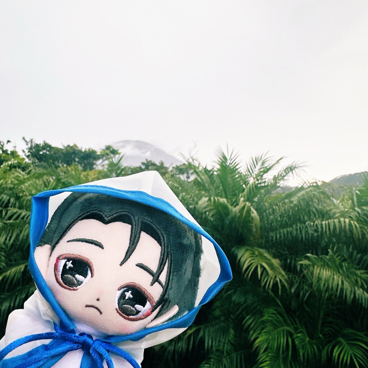m878089098's tweet photo. 雷雨時々停電
現場からは以上です https://t.co/jfwLzmDDnX