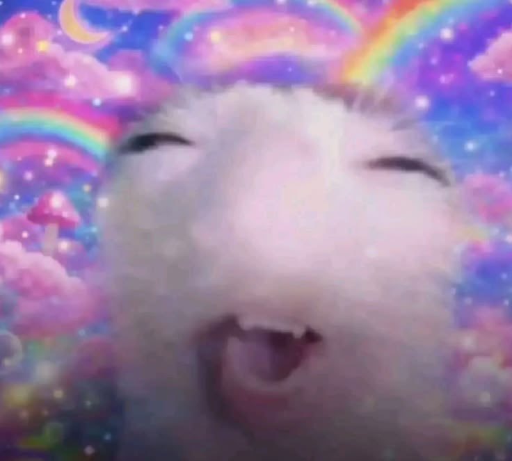 RickySmallss's tweet photo. How life feels after becoming a creator on @fansly. Apply at https://t.co/UFyGgVMlTV today! https://t.co/OK2AFYlZQ0