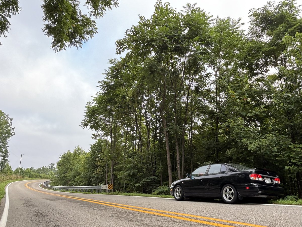 Mocha_Fur's tweet photo. somewhere in VA on a roadtrip. https://t.co/ljoCWXVBUr