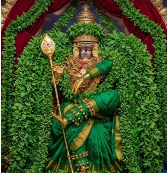 sudha_unique's tweet photo. #நற்காலைவணக்கம்🌺🌺🌺🙏 ! https://t.co/1Q0l8F2dsU