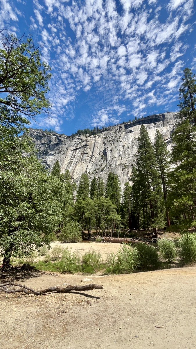 JamiesHix's tweet photo. Yosemite trip

@YosemiteNPS https://t.co/DTCbZITqrn