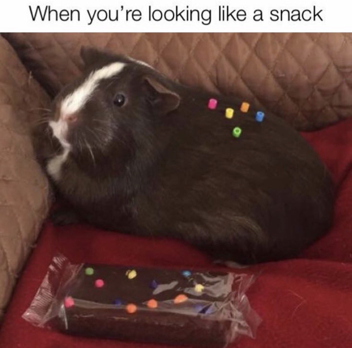 RespectfulMemes's tweet photo. https://t.co/rirf8GBWCi