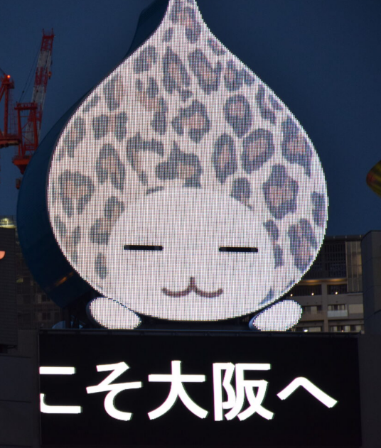 pichonkun_photo's tweet photo. 昨日は「なにわの日」だったって。
ぼくの大阪魂みせつける日ってことだね。
#大阪といえばヒョウ柄　#たこ焼き https://t.co/BefCI6xs72