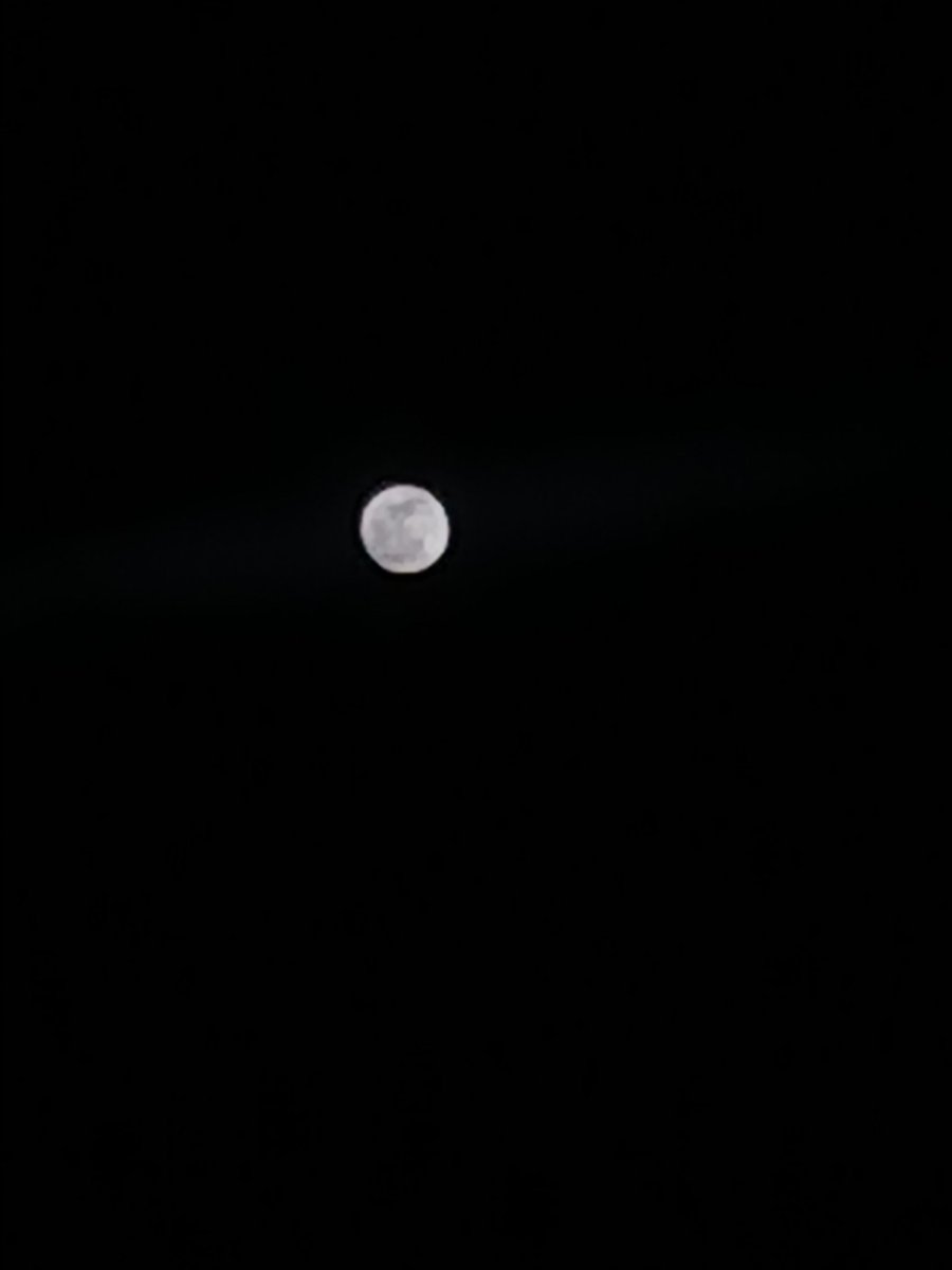 patafisicoo's tweet photo. 🌕🐺 🥷🏼 https://t.co/4kscd4Aj61