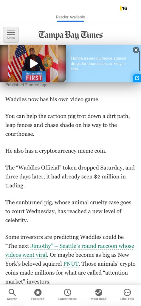 DogeSanta9830's tweet photo. @TB_Times is calling us the next PNUT the squirrel which went to billions. Buckle up $waddles warriors. 🐷 🚀 https://t.co/7cPuewlqZK