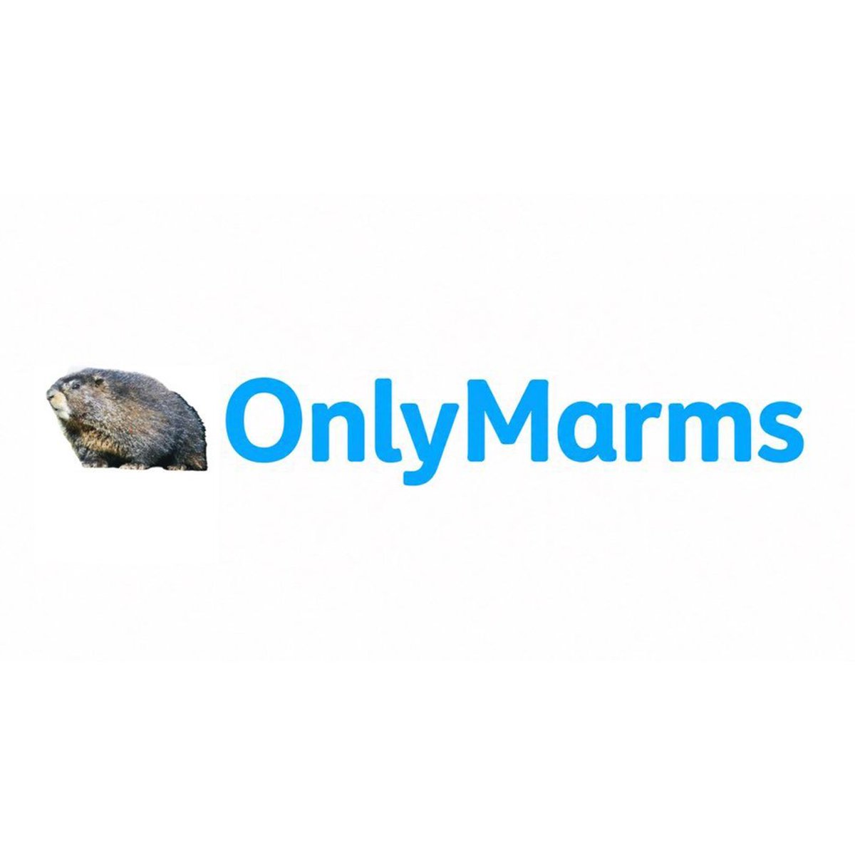 Dexerto's tweet photo. Scientists have launched an OnlyFans account for marmots after funding cuts threatened their research https://t.co/OTLIWDmofk