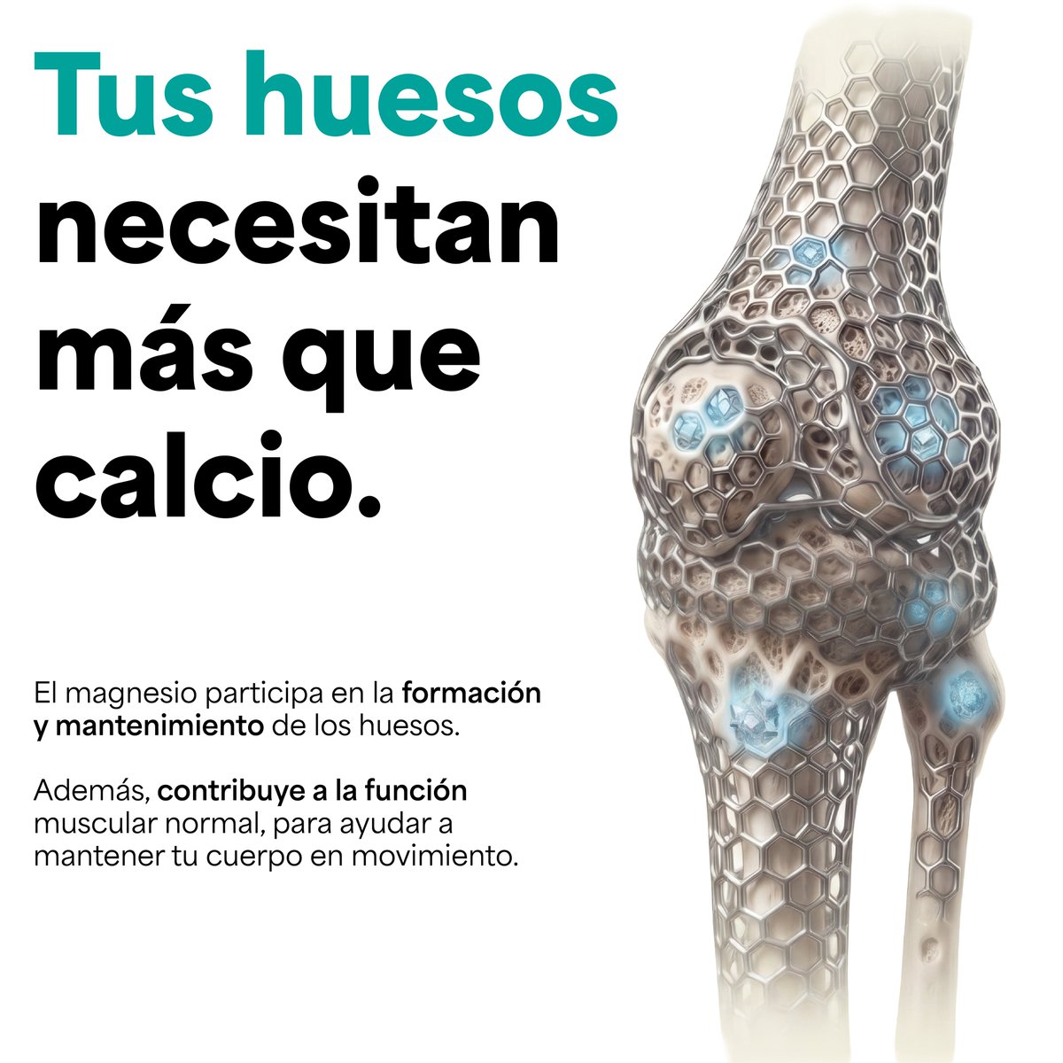 Genfinity_MX's tweet photo. Tus huesos hacen mucho más por ti de lo que imaginas. 🦴✨
El magnesio es un mineral esencial que contribuye al mantenimiento de los huesos y al funcionamiento normal de los músculos.
🛒 https://t.co/OlhW7DeMAC
#Genfinity #Suplementos #magnesio https://t.co/c8J5XSSdon