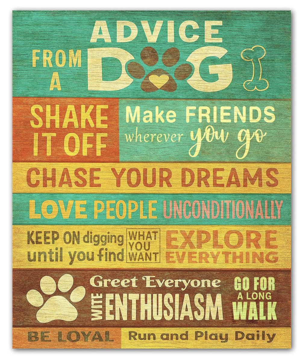 lori_huntsman's tweet photo. Just found the PAW-sitively best poster to start the school year with!🐾This is some solid advice for us to begin building our classroom community and add to it as we grow together! #FourthGrade #Teachersof𝕏 #Community #DogLife #perspective #Back2School

https://t.co/avjX7C93RC https://t.co/tbkb7EI7US