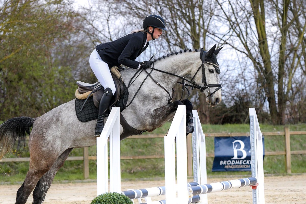 ehorses_com's tweet photo. ✨Elegant Hanoverian Grey Mare, compact, brave & versatile for jumping and eventing 🐎
🔗 https://t.co/SMCCGsWAQP
#ehorses #hanoverian #showjumpers #mare #grey #horselove #horse #horses #horselover #foundonehorses https://t.co/hcAJfNJCm5