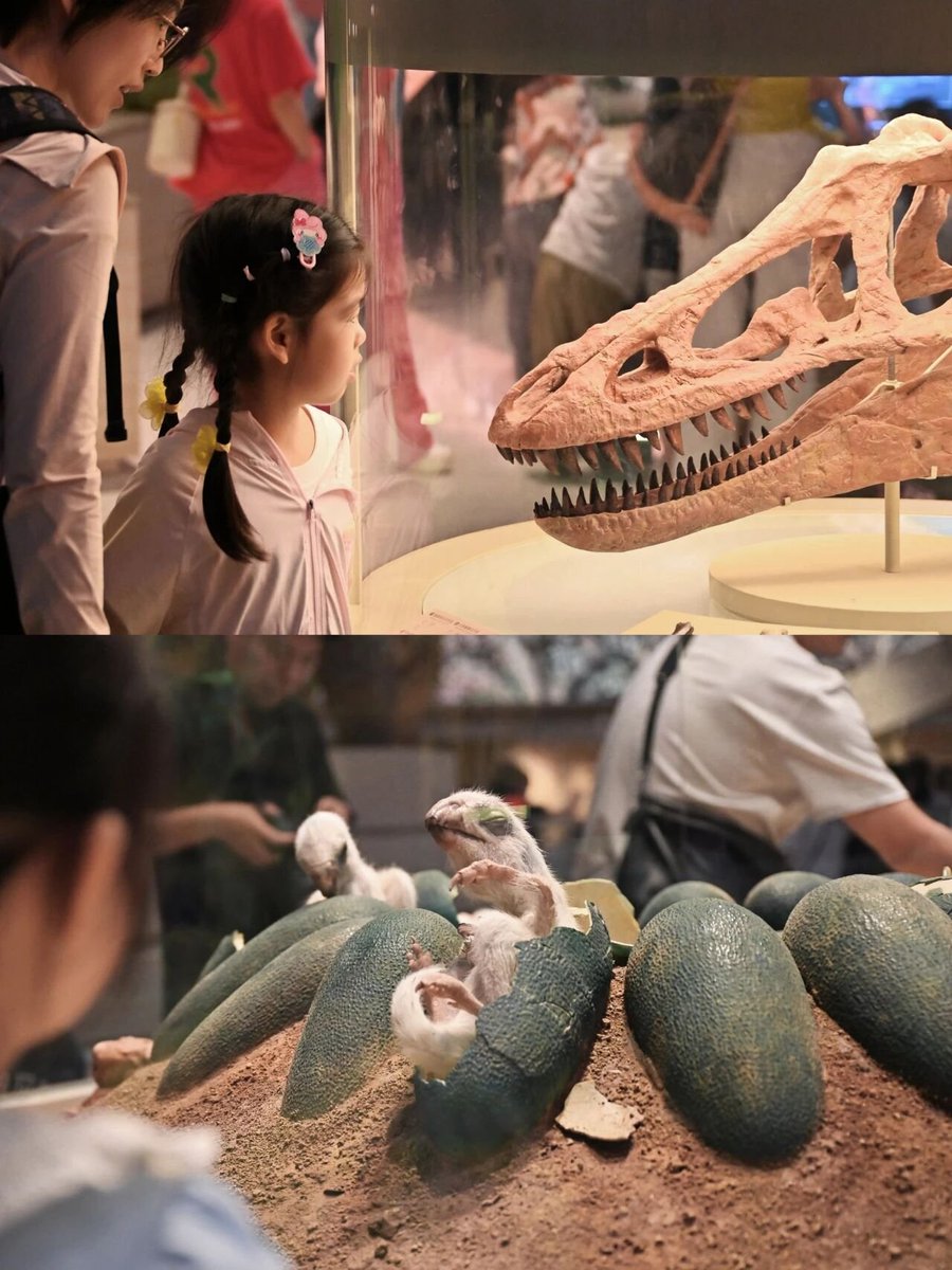 Catxiaojuzi's tweet photo. 开馆！
#shenzhen #china #museum #Dinosaur https://t.co/VsV820Oj32