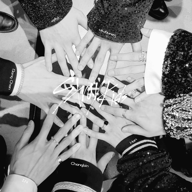 luvslinoring's tweet photo. — hilo terapéutico de frases de stray kids que curan tu corazón.　͙͘͡★

por si necesitabas escucharlas. 🫂 https://t.co/hAm6jLiFln