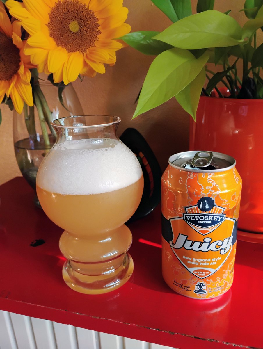 BeerSnobSean's tweet photo. After having a bunch of these straight from the can at the lake, I finally get a chance to drink "Juicy" from @PetoskeyBrewing in #properglassware #hazyipa #beer https://t.co/rjV0MZY6P5