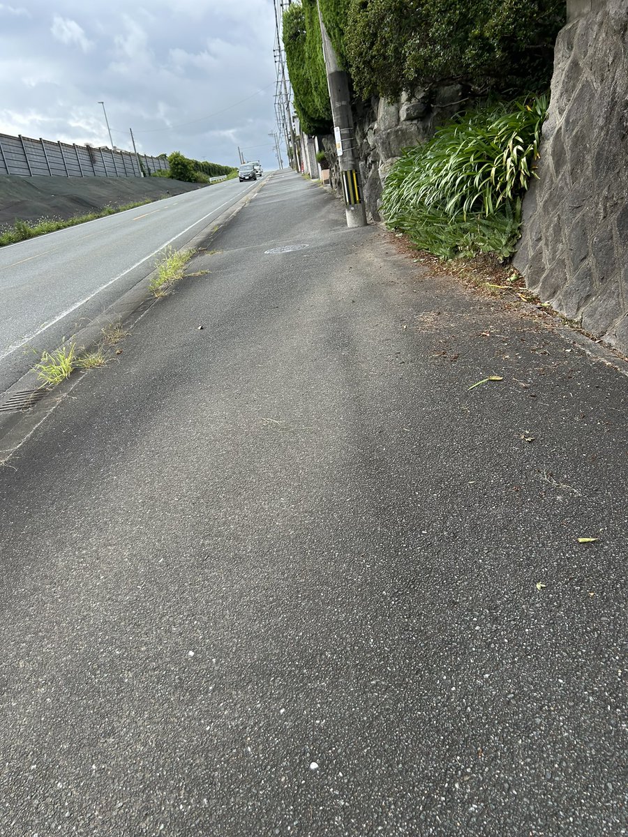 yu5124's tweet photo. 🧚はどうも私の体力を勘違いしと

私は、今！今！！たった今！！！
丘超え坂道どんぶら散歩から帰って来たばかりなのに「曇っとるし、今から津屋崎の草刈り行こか？」って
(爺様の放置空き、100坪はこえるぜ

どうも間違った印象操作がされてる模様　🐒
今日はいかん🦑 https://t.co/LCspW5ur0X