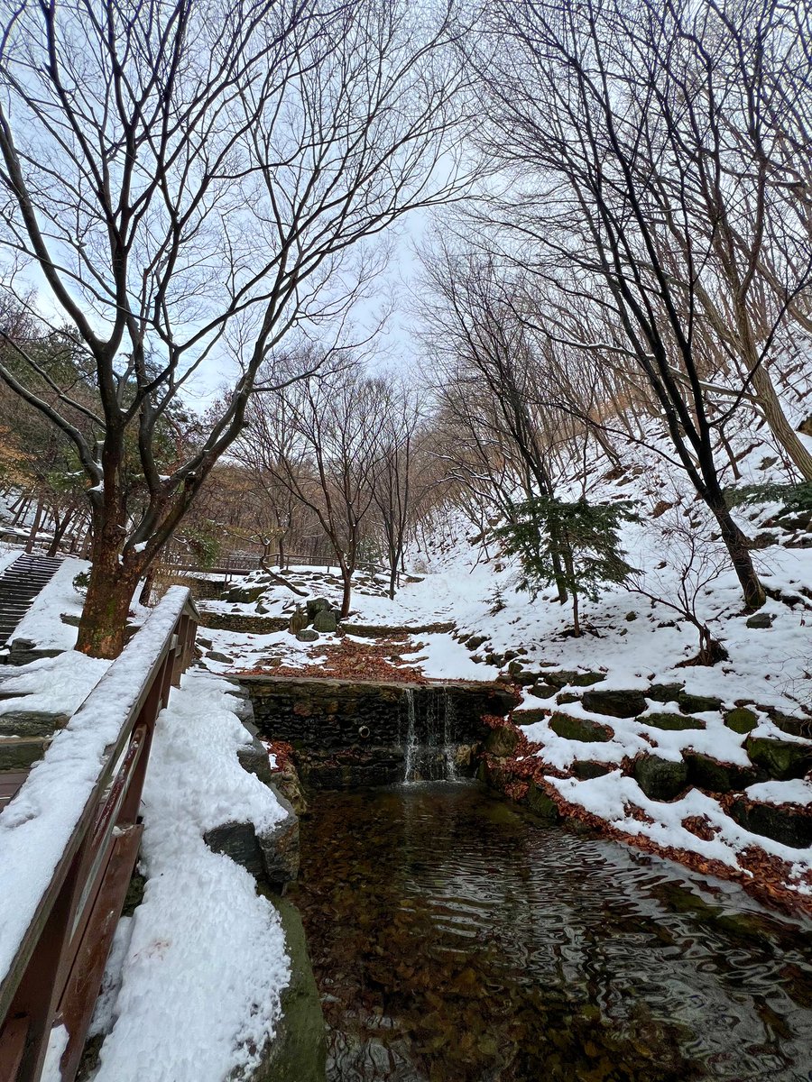 bestwiz's tweet photo. 주님!

이번 항해는 참 힘들고 길었습니다.

태풍은 성난 듯 사납고

파도는 삼킬 듯 무서웠습니다.

거친 바다 

한 가운데, 쉴 곳 없는 나그네에게

근심의 물결이 숨차게 몰려왔습니다.

지푸라기를 잡는 심정으로

십자가를 붙들고

주의 옷자락을 붙잡았습니다.

주님은

의지 없는 저에게

믿음을 주셨고

어둔 영혼에 빛을 주셨습니다.

기도하는 손으로

주의 뜻을 붙잡는 은혜를 주셨습니다.

찬송하는 발길로

주의 길을 걷는 은총을 주셨습니다.

천국 포구로 나아 갈 때

풍랑 인연하여, 더 빨리

순풍 인연하여, 속히 나왔습니다.

주님!

이제 마지막 항구에 도착했습니다.

이곳에 닻을 내리고 쉬려합니다.

이제 저의 모든 기도와 

간구가

다 이루어졌습니다.

간절히 바라던

소원의 항구에 소망의 항구에

이렇게 닻을 내리게 되었으니까요.

주님!

저는 이제

더 이상 이사하지 않아도 되고

더 이상 슬퍼하지 않아도 되며

더 이상 애타하지 않아도 되는

소망 동산이 좋습니다.

주의 동산이 좋습니다.

소망의 항구가 좋습니다.

이제

닻을 내립니다.

마지막 항구에 이르렀으니

주께서 깨워 주실 때까지 평안히

쉬겠습니다.

마음을 다 풀어놓고 

깊은 잠을 자겠습니다.

이곳까지 인도하신 주님!

감사합니다.
