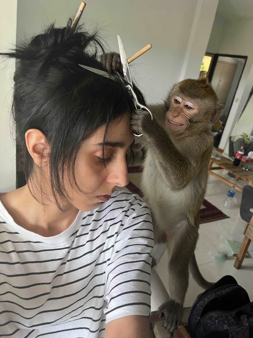lostllama_'s tweet photo. لیمیت گروکم زود تموم می‌شه. https://t.co/7JhK0igHpR